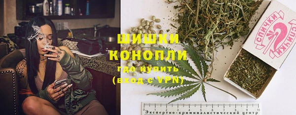 амф Арсеньев