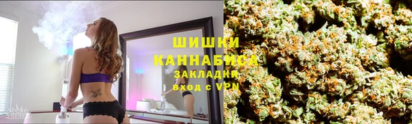 амф Арсеньев